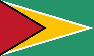 Home guyana flag (1)